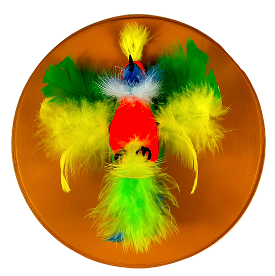 Bird encased in an acrylic dome