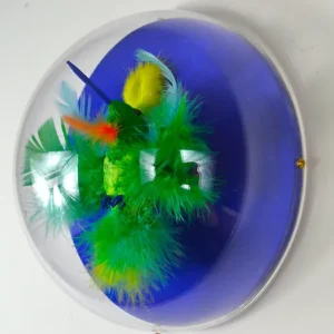 Bird encased in an acrylic dome